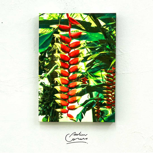 ファブリックパネル ボタニカルアートACFP002 ヘリコニア・ロストラタ