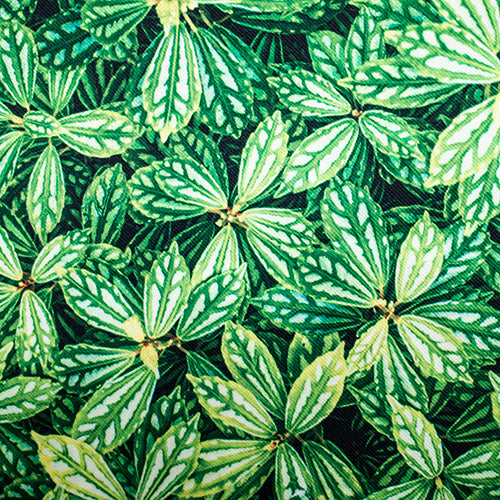 ファブリックパネル ボタニカルアートACFP004