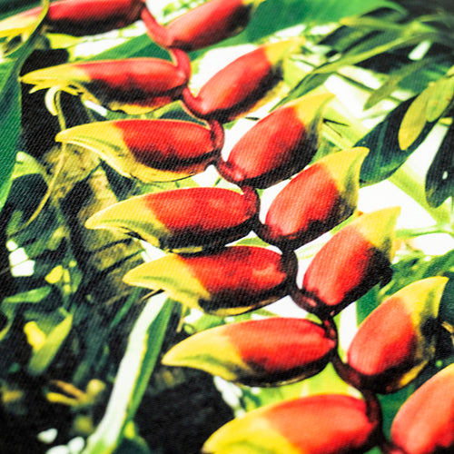 ファブリックパネル ボタニカルアートACFP002 ヘリコニア・ロストラタ