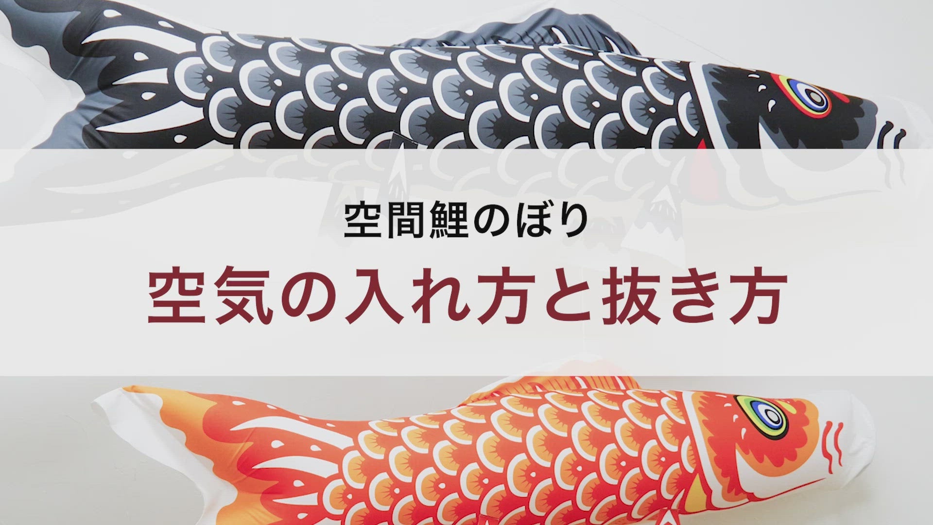 空間鯉のぼり｜郡二郎AIR 3点セット｜大型室内鯉のぼり – フォレストハウス